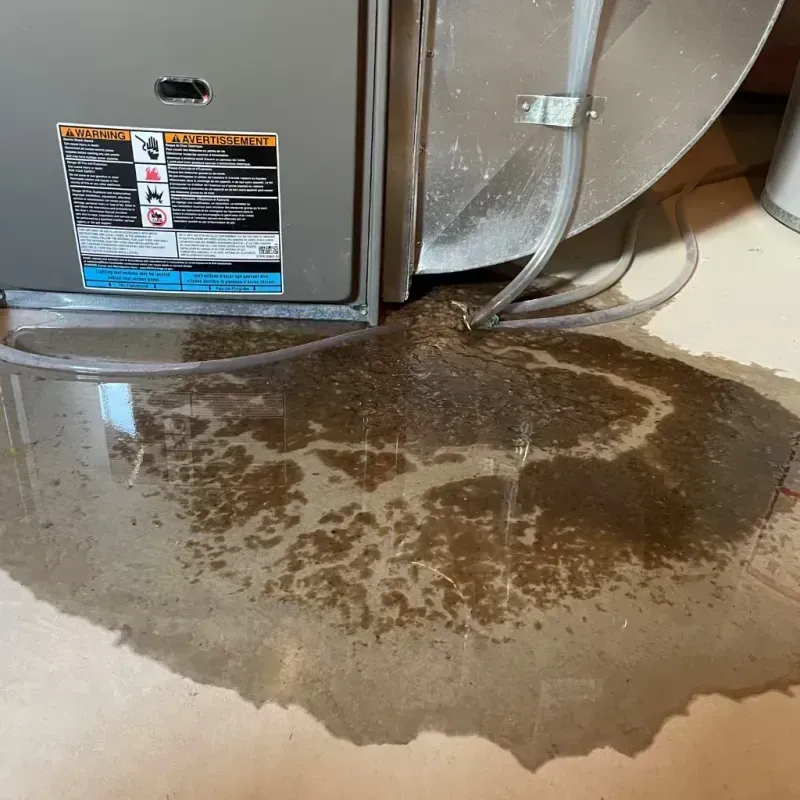 Appliance Leak Cleanup in Boonville, NC